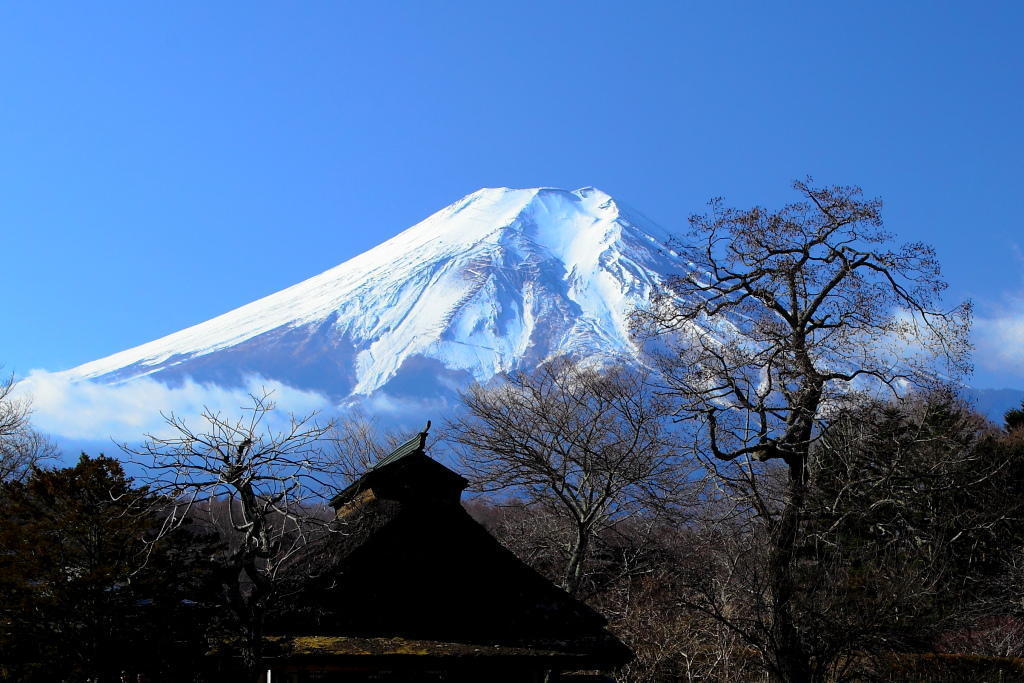忍野八海から見た忍野富士: さわやかな風景を求めて